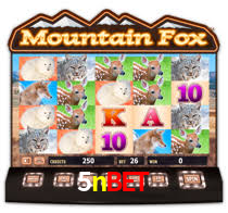 5nbet.com